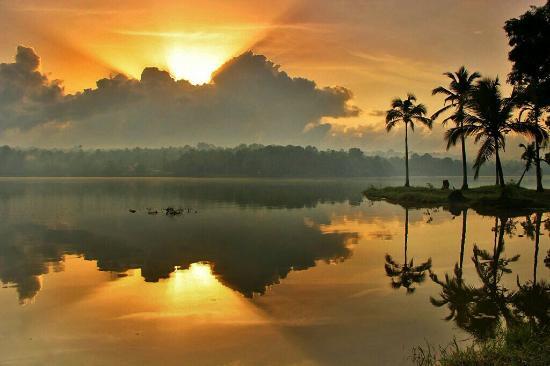 Vellayani Lake